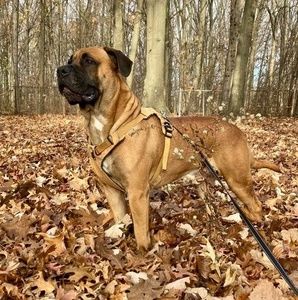 Meet your Posher, Melissa